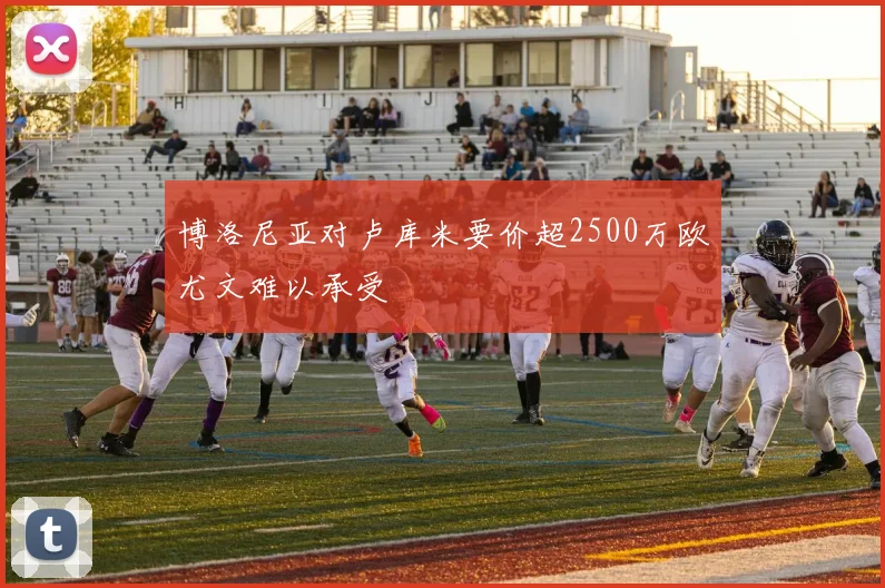 博洛尼亚对卢库米要价超2500万欧尤文难以承受