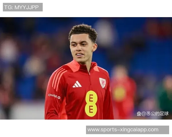 布伦南约翰逊以3500万镑创纪录转会身披水晶宫11号球衣